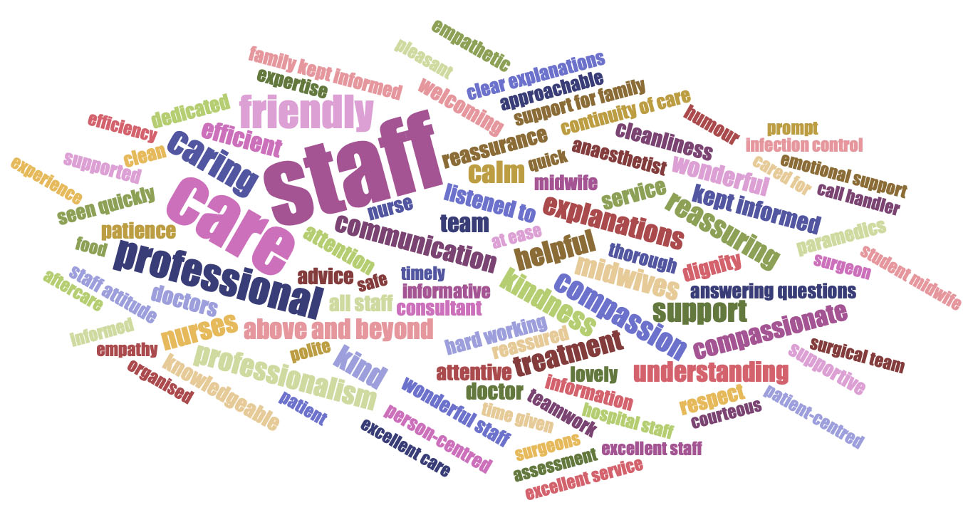 Word cloud from patient feedback for blog